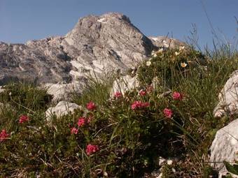 Hostal Gasthaus-pension Seeklause