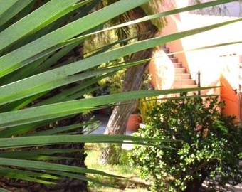 Il Sentiero B&b�o