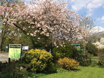 Ver fotos