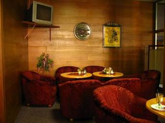 Hotel Slezan