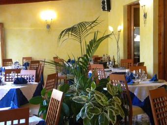 Hotel Rosa Del Tirreno