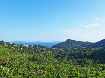 Apartment Residence Les Mas Pramousquier Le Lavandou