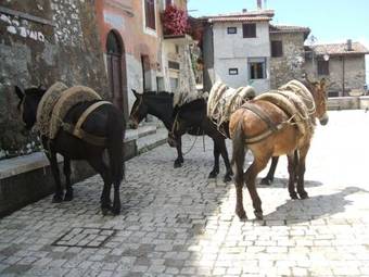 Bed & Breakfast Rupe Antica