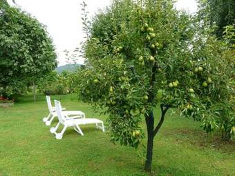 B&B Marie Therese