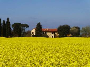Agroturismo Il Bosco Agriturismo