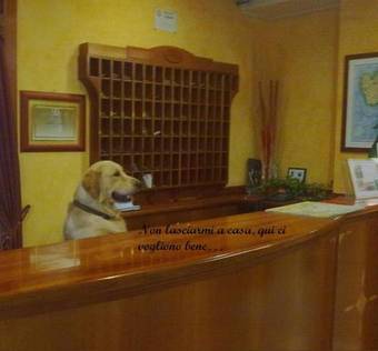 Hotel Riz