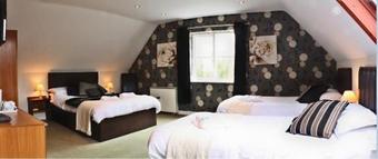 B&B Terra Nobile