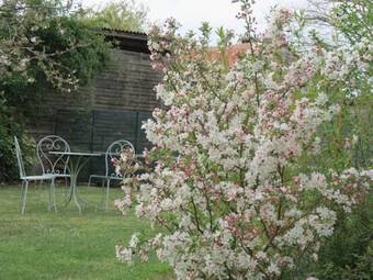 Bed & Breakfast L'aubinoise