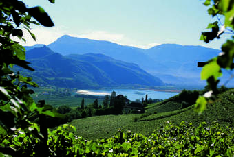 Hotel Tyrol