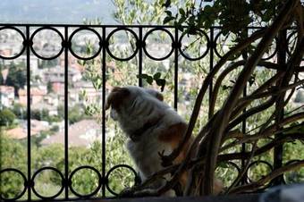 B&B Villa Moro