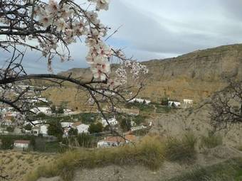 Ver fotos
