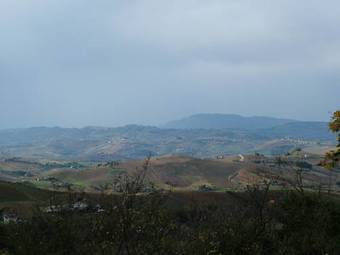 La Casa Nel Bosco
