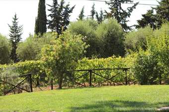 Campo Del Rosario