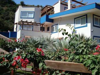 Hotel Agave