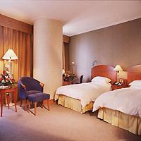 Hotel Nikko