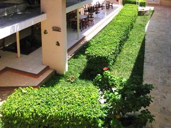 Hotel Plaza Yucatan