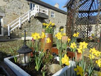 Apartamentos Falstone Barns