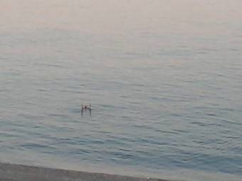 Hotel Il Girasole