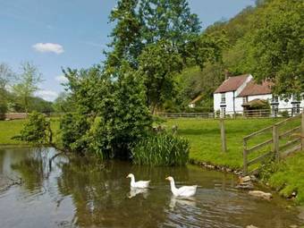 Ashberry Cottage