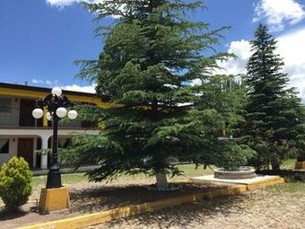 Hotel Cascada Inn
