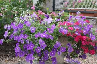 Bed & Breakfast Le Clos Pr�s Chambord