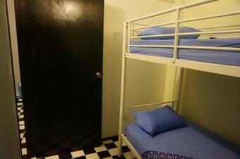 Best Bunk Beds