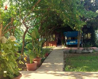 Olympos Yavuz Hotel