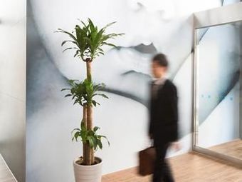 Hotel Ibis Budget Ambassador Seoul Dongdaemun