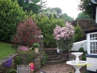 Hotel Frogwell