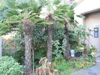 Charmant Hotel