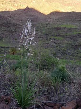 Casa El Pino