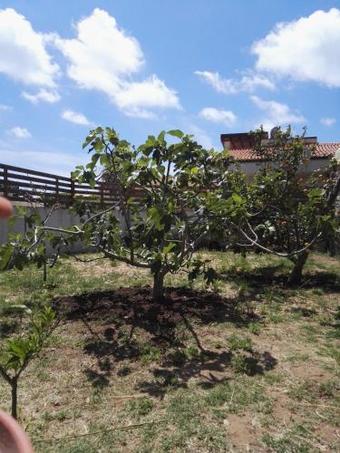 Casavacanza Rita