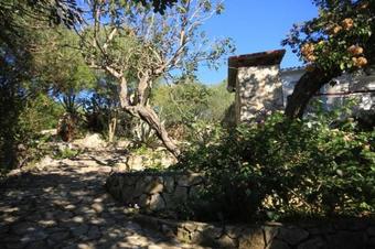 Seaside Holiday House Cove Rogacic Bay - Rogacic (vis) - 8886