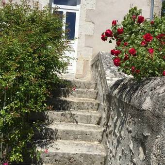 Le Clos Des Sureaux