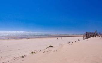 Le Phare Des Amis