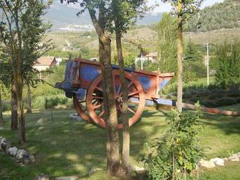 Hostal La Radice