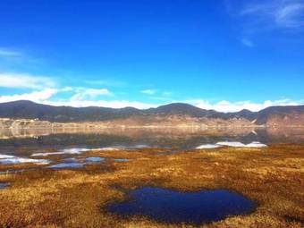 Ver fotos