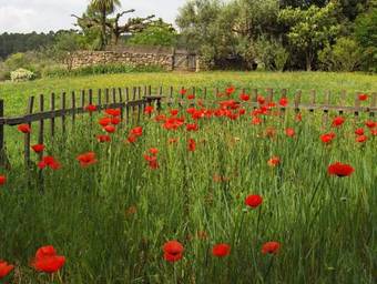 B&B Jardins De Vies