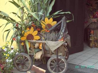 Posada Landgasthof Zum Goldenen L�wen