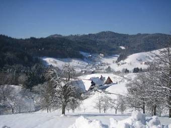 Apartamento Ferienhof Fischer