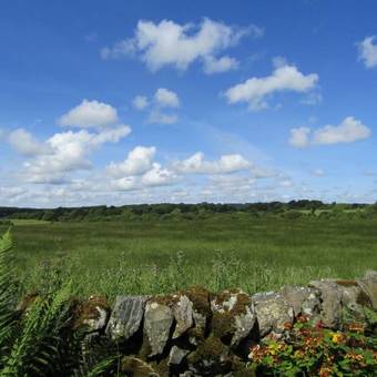 Barnkirk Holidays