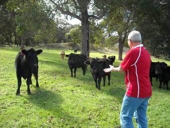 Agroturismo Jilba
