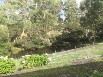 Platypus Waters B&B