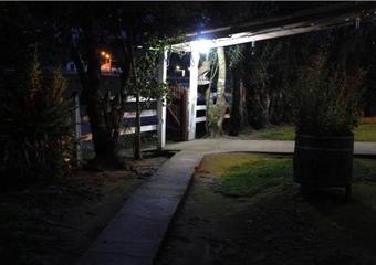 Ver fotos