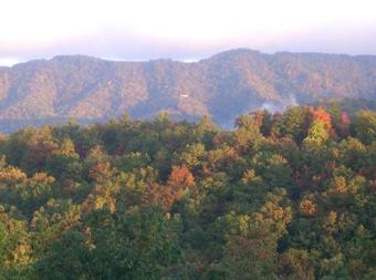 Ollie's Overlook