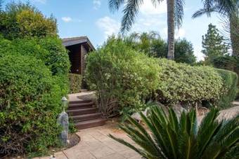 Lodge Pine Tree Cabin