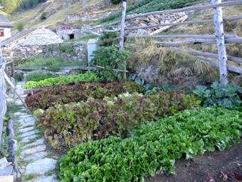 Agroturismo Ristoro Alpe San Romerio