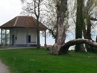 Apartamento Ferienwohnung M. K�nig