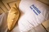 Hostal Pension Premium