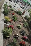 Hostal Apartments Renata